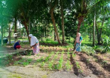 Keltan Padang Ampalu Saiyov