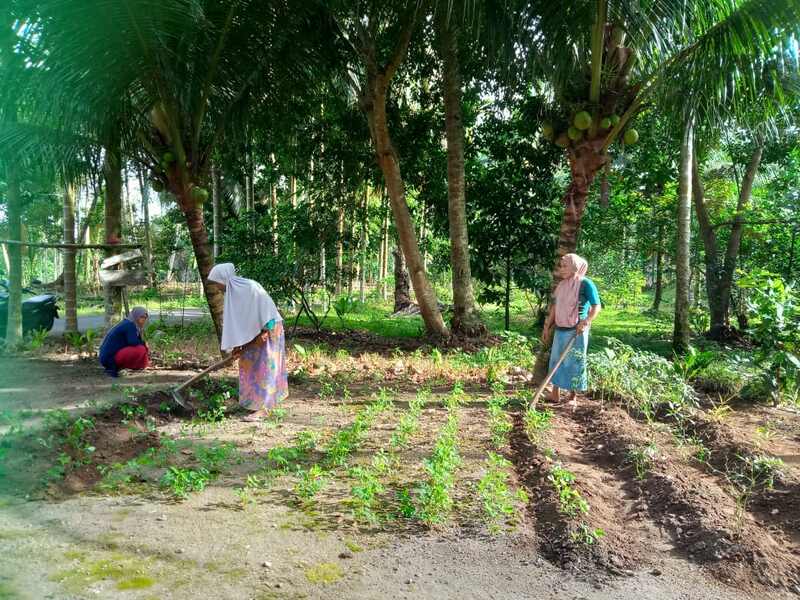 Keltan Padang Ampalu Saiyov