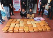 Bareskrim dan Polda Sumbar Bongkar Jaringan Ganja Antarprovinsi