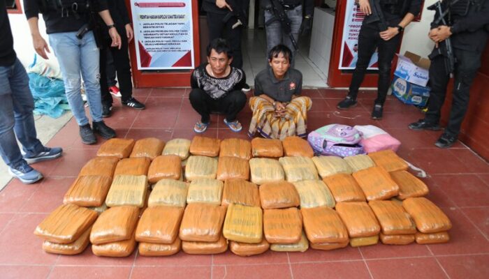 Bareskrim dan Polda Sumbar Bongkar Jaringan Ganja Antarprovinsi