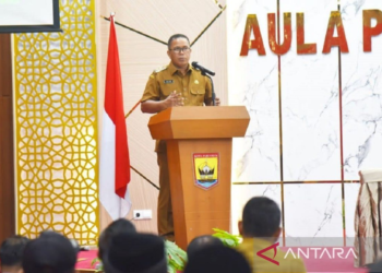 Pemko Pariaman Pastikan Pelantikan Ulang 663 PPPK