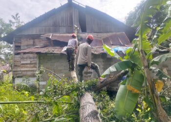 34 Titik Pohon Tumbang dan Longsor saat Cuaca Ekstrem di Padang