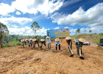 Pasbar Targetkan  Luas  Tanam Padi Gogo 3.742 Hektare