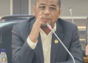Arisal Aziz: DPR Harus Lebih Optimal Awasi Jalannya Pemerintahan