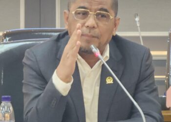 Arisal Aziz: DPR Harus Lebih Optimal Awasi Jalannya Pemerintahan