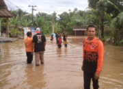 Perkembangan Situasi dan Penanganan Bencana Tanggal 31 Maret 2025