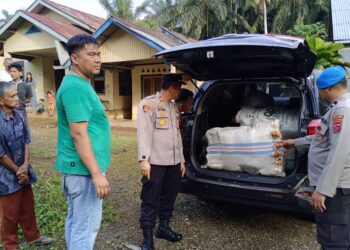 Polda dan Polsek Kinali Pasbar Ringkus Pengedar Ganja