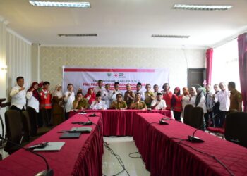 PMI Mitra Strategis Pemerintah Jalankan Misi Kemanusiaan