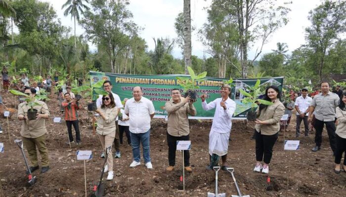Wamen ATR/Waka BPN Tanam Pisang di Jembrana, Wujud Penataan Akses Tanah Ulayat Pertama di Indonesia