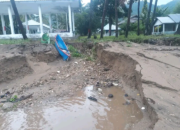 Perkembangan Situasi dan Penanganan Bencana Tanggal 25 Maret 2025