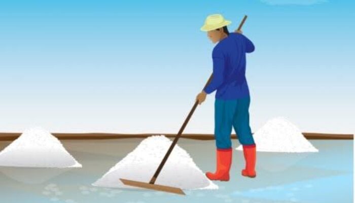 Reaktivasi Industri Garam Rakyat di Sumbar, Peluang Besar untuk Swasembada Garam