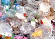 Mengurangi Sampah Plastik, Langkah Kecil untuk Bumi yang Lebih Bersih