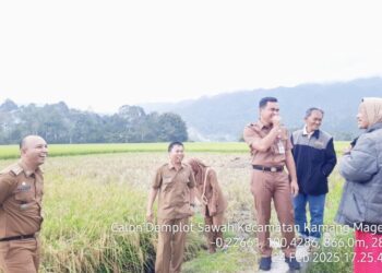 Sawah Pokok Murah Jadi Program 100 Hari Bupati Agam