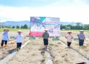 Pemkab Agam Luncurkan Program SPM, Ikhtiar untuk Terjaminnya Pangan Rakyat