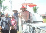 Wako Fadly Amran Pimpin Kegiatan Panen di Kuranji