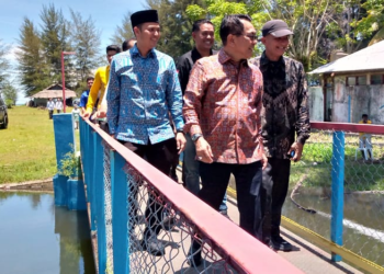 Pesta Pantai Arta, Hidupkan Pariwisata di Padang Pariaman