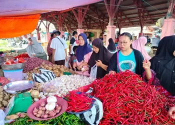 Harga Kebutuhan Pokok di Agam Normal Usai Lebaran