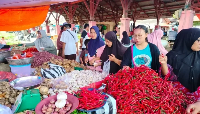 Harga Kebutuhan Pokok di Agam Normal Usai Lebaran