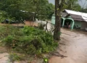 PBB Ingatkan Indonesia Potensi Bahaya Dampak Pemanasan Global