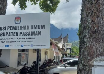 PSU Kembali Digelar di TPS 02 Nagari Panti Timur, Pasaman
