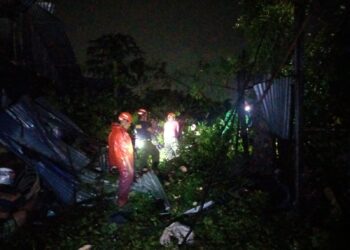 Cuaca Ekstrem di Padang, Pohon Tumbang Akibatkan Seorang Warga Terluka