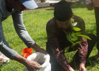 Peringati Hari Bumi, Kankemenag Padang Tanam Matoa 