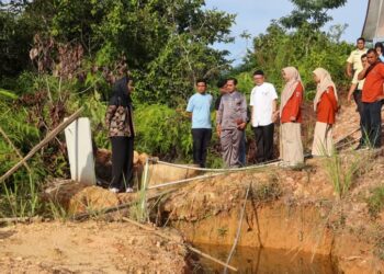 Bupati Annisa Sidak, Tindak Lanjuti Keluhan Masalah Air dan Bau Tidak Sedap di RSUD Sungai Dareh