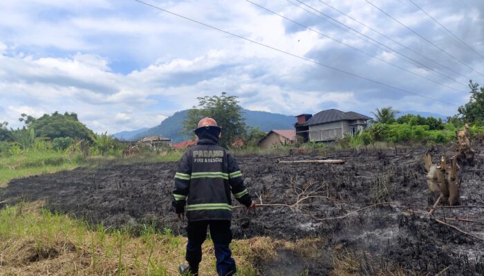 Kebakaran Lahan Ilalang di Kota Padang, Diduga Akibat Pembakaran Sampah Warga