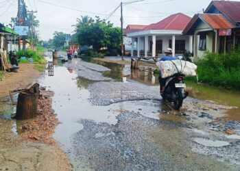 Warga Menjerit! Jalan Rusak Parah di Taeh Baruah, Anggota DPRD Asal Daerah Kemana?