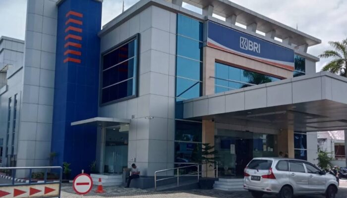 KUR BRI Beri Ruang UMKM Lakukan Ekspansi Usaha