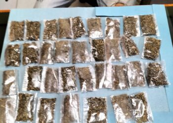 Polres Solsel Amankan 34 Paket Ganja Kering