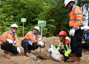Tanam 205 Pohon Sengon di Bekas Tambang, PT Semen Padang Implementasikan Ekonomi Hijau untuk Dukung Asta Cita Pemerintah RI