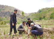 Kementerian ATR/BPN Ajak Masyarakat Pasang Tanda Batas Tanah di Kampung Halaman saat Mudik