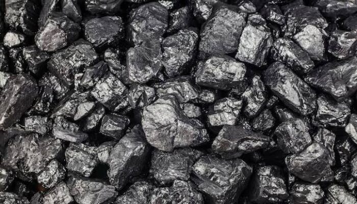 Dugaan Manipulasi Distribusi Batu Bara, DPR Dorong Evaluasi Menyeluruh