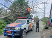 Pohon Tumbang Timpa Kabel Jaringan Internet di Kota Padang