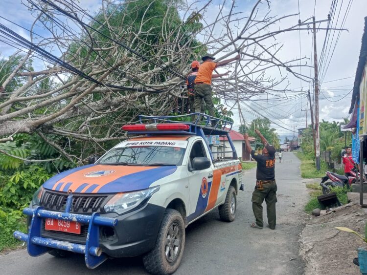 BPBD Kota Padang di lokasi, melakukan pembersihan  pohon tumbang, Selasa (22/4). IST