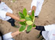 Telkom Pertegas Komitmen Energi Terbarukan di Hari Bumi 2025: Langkah Nyata Menuju Masa Depan Berkelanjutan