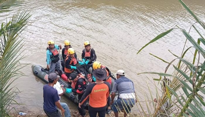 Korban Diterkam Buaya di Pasbar Ditemukan Meninggal