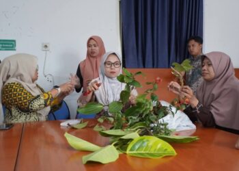 Persiapan Program Menanam Serentak, Dispangtan Lakukan Penyuluhan di Kominfo