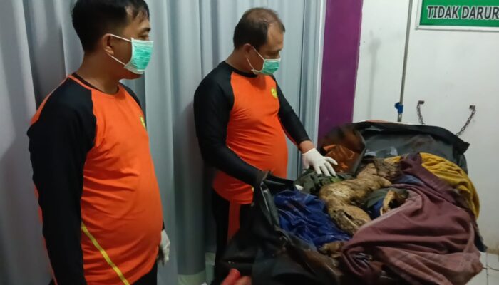 Ditemukan Potongan Kaki, Pencarian Korban Diterkam Buaya di Pasbar Dihentikan