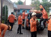 Bus ALS Terbalik di Padang Panjang, Basarnas Padang Lakukan Operasi SAR