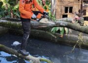 Perkembangan Situasi dan Penanganan Bencana Tanggal 12 Mei 2025