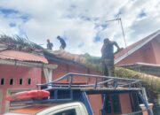 Pohon Tumbang Hantam Rumah Warga dan Kabel Listrik, Kerugian Capai Rp15 Juta