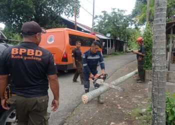Pohon Tumbang Hambat Akses Jalan dan Timpa Kabel Listrik di Padang