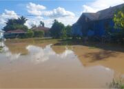 Perkembangan Situasi dan Penanganan Bencana 17 Mei 2025