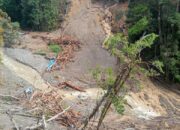 Banjir Bandang Terjang Kabupaten Pegunungan Arfak, Satu Meninggal, 19 Orang Masih Dalam Pencarian