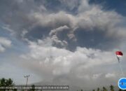 Perkembangan Situasi dan Penanganan Bencana Tanggal 19 Mei 2025