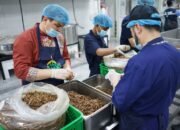 Layanan Kedatangan Jemaah Haji Gelombang I dalam Angka: Jutaan Boks Katering, Ribuan Kamar Hotel