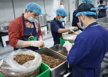 Layanan Kedatangan Jemaah Haji Gelombang I dalam Angka: Jutaan Boks Katering, Ribuan Kamar Hotel