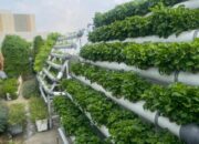 Hanya di Hotel Santika Premiere dan Hotel Amaris Padang, Menginap Sambil Menjaga Bumi